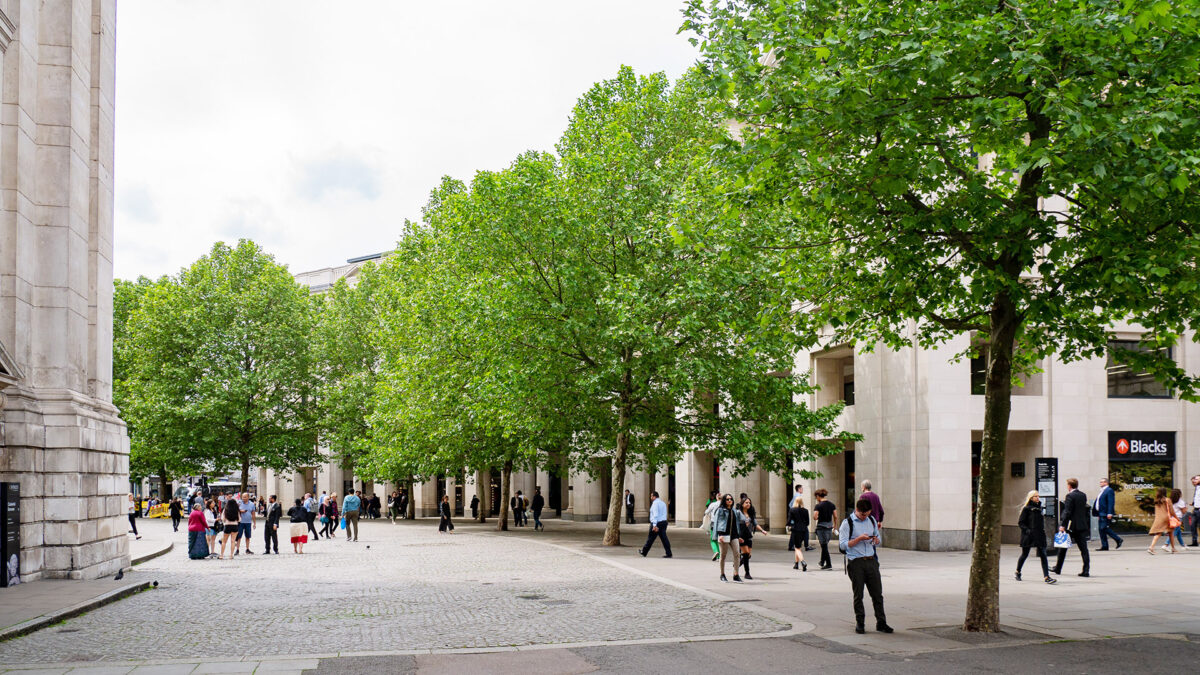 urban forest